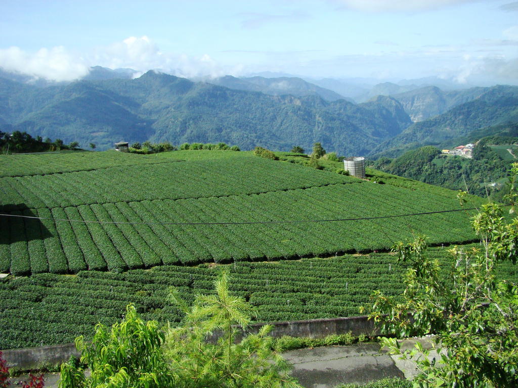 Alishan B&B Yunmingi Fenchihu Exterior photo